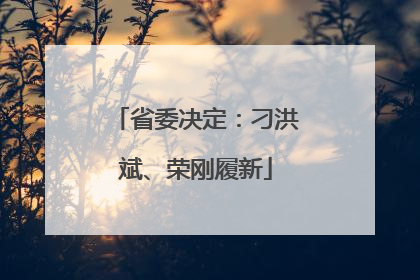 省委决定：刁洪斌、荣刚履新